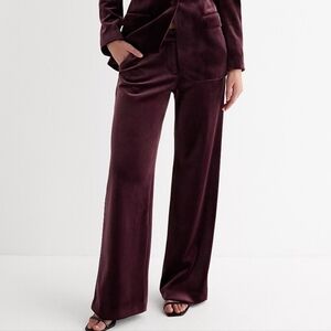Express Burgundy Velvet Wide-Leg Pants Size 2L